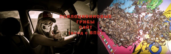 гидра Переславль-Залесский