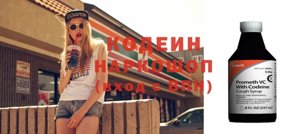 хмурый Пересвет