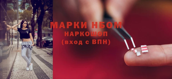 хмурый Пересвет