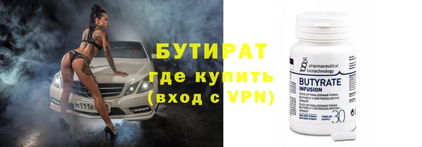 хмурый Пересвет