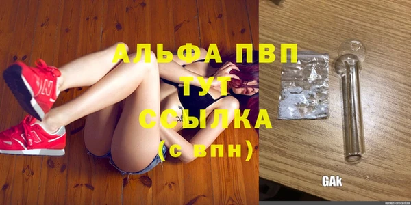 гидра Переславль-Залесский