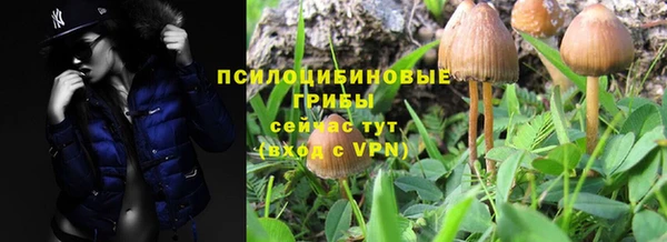 МДПВ Абаза